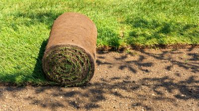 How to lay turf in 7 steps – as recommended by lawn specialists