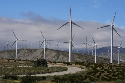 Global Wind Power Capacity Surges In Record-Breaking Year
