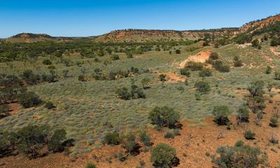 300,000ha Queensland cattle station bought for conservation after $21m donation