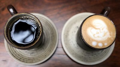 Genome study reveals prehistoric Ethiopian origins of coffee