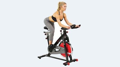 Sunny Health & Fitness Indoor Cycle Bike review