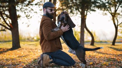 Feeling overwhelmed on your dog training journey? This trainer's simple advice is just what you need