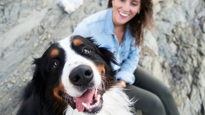 Doing this one thing will make you a better dog owner, according to an expert