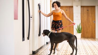 Try this trainer's clever tip if your dog loves dashing out the door when it’s time to leave for a walk