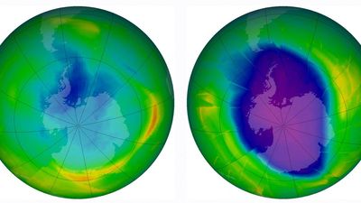 Sci-Five | The Hindu Science Quiz: On Ozone