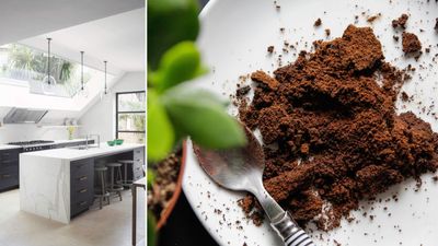 Professional cleaners say you can clean your kitchen with coffee grounds – but how effective are they?