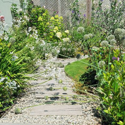 How do you border a garden cheaply? 5 ways to brighten up your garden borders on a budget