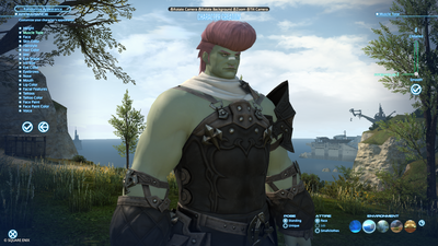Final Fantasy XIV has a new benchmarking tool ahead of the release of the Dawntrail expansion