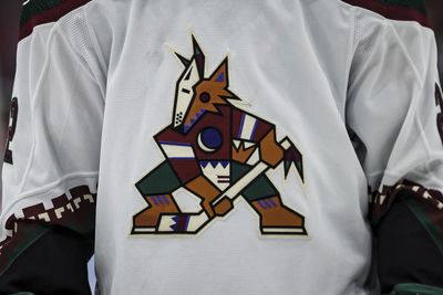 8 names for Utah’s NHL team with the Arizona Coyotes reportedly relocating to Salt Lake City