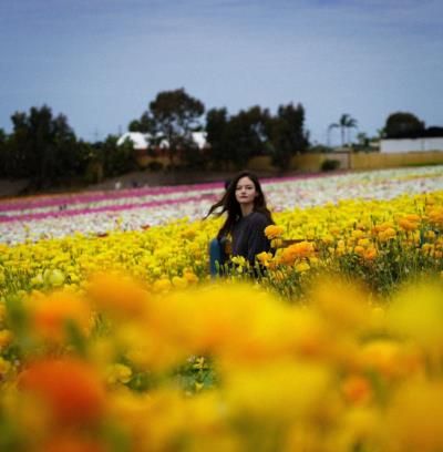 Mackenzie Foy Radiates Joy In Sunflower Garden Snapshot