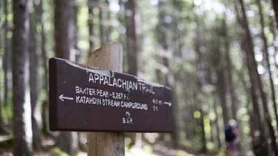 Can you help find Sadie the hiking dog, missing on Appalachian Trail for 5 weeks?