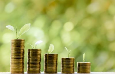 Inherited an IRA? Key Distribution Rules to Know for 2025