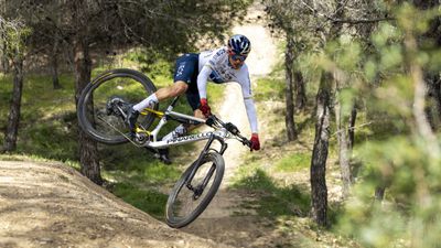 Why are the fastest MTB race bikes in the world so different from what we mere mortals ride?