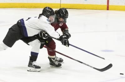 Montreal Rallies To Beat Minnesota In PWHL Thriller