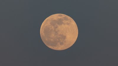 April full moon 2024: The Pink Moon joins Mars and Saturn in the night sky