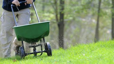 Turf experts recommend the best fertilizer for grass in spring to guarantee you a pristine lawn