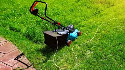 Corded mower vs cordless mower – experts pick the very best