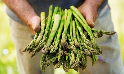 I eagerly await the English asparagus season, from tender start to woody finish