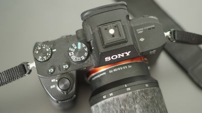 Sony has got nothing going on up top — and that's why I went back to Nikon