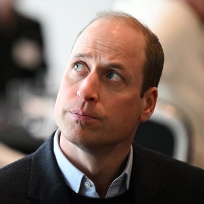 Prince William Attends an Event By Himself One Day After Returning to Royal Duties