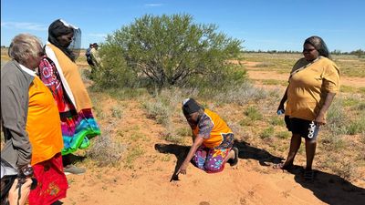 Rangers use new tech for tracking animals in the desert