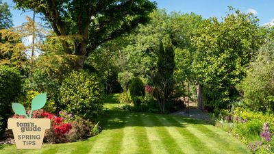 5 things you should do before fertilizing your lawn