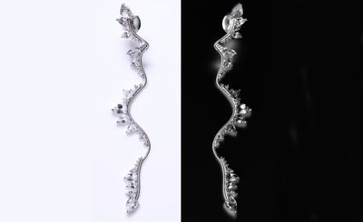 Fernando Jorge’s fluid diamond earrings show his curve appeal