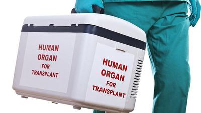 All cases of organ transplants, whether from living or deceased donor, to be given unique NOTTO-ID