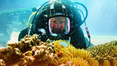 How to watch Our Changing Planet: Restoring Our Reefs online and on TV