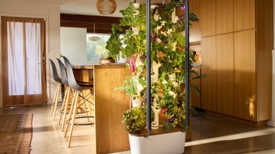 Gardyn: everything you need to know about this tech-driven, hydroponic gardening brand