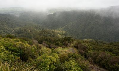 New Zealand plans to put big developments before the environment. That’s dangerous