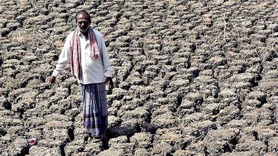 Centre seeks and gets a week from Supreme Court to do ’something’ about Karnataka’s drought worries