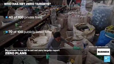 Most of world's biggest private companies failing to set net zero targets: report