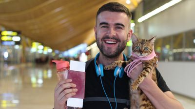 Planning on taking a plane trip with your cat? This trainer’s travel routine will help ensure things run smoothly