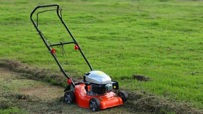 What is a mulching plug? The mowing essential you need