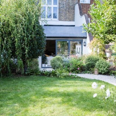 How to care for a lawn in shade – expert tips for lush green grass in a shady garden