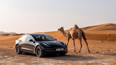 Tesla slashes the price of its best-selling vehicles around the globe as it looks to combat a slump in sales