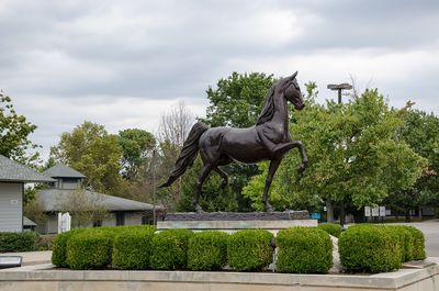 State funding for Kentucky Horse Park covers competition and casual observer interests