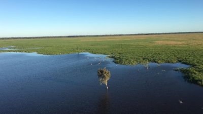 Fifty-year vision drawn up for Murray Darling Basin