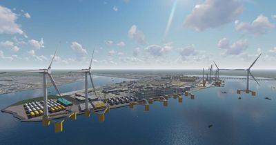 Offshore wind 'eyesore' not set in stone for Newcastle yet
