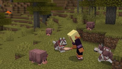 Surprise! Minecraft gives Armadillos AND new Wolves to everyone with latest update, available NOW