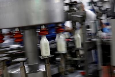 US FDA Confirms Commercial Milk Safe Despite Bird Flu Presence