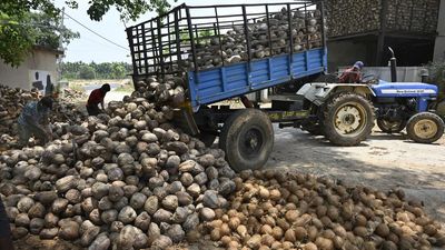 Summer of discontent in the land of coconuts in Karnataka