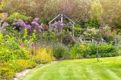 This "Sweet Pea Tent" is Going Viral — And You Can Plant It Now to Have One in Your Garden by Summer