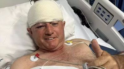 Former Zimbabwe cricketer Guy Whittall mauled by leopard, pet dog comes to rescue