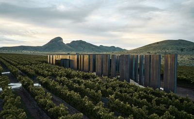 Southern Arizona sets the scene for a corking vineyard experience at Los Milics
