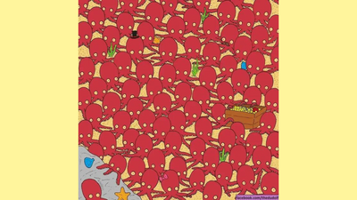 Optical illusion: Only people with 20/20 vision can spot the fish in under 7 seconds