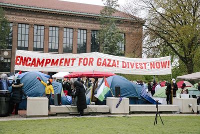 Student protesters are demanding universities divest from Israel. What does that mean?