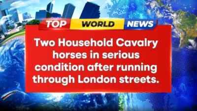 Household Cavalry Horses In Serious Condition After London Incident