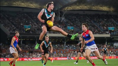 Port coach hails special Butters ahead of milestone